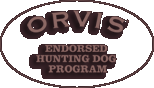 Orvis Endorsed Hunting Dog Program