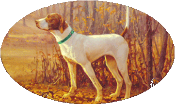 Autumn Memory Kennels Logo