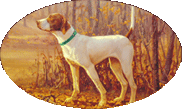 Autumn Memory Kennels Logo