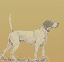 Watercolor of Pointer